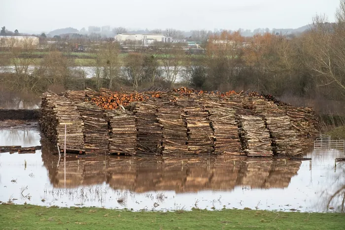 Framed Print : Floodwater surrounding stack of logs being stored in field prior to collection, south of Leominster, River Arrow flood plain, Herefordshire, England, UK. 4th January 2024 Framed Print : Floodwater surrounding stack of logs being stored in field prior to collection, south of Leominster, River Arrow flood plain, Herefordshire, England, UK. 4th January 2024