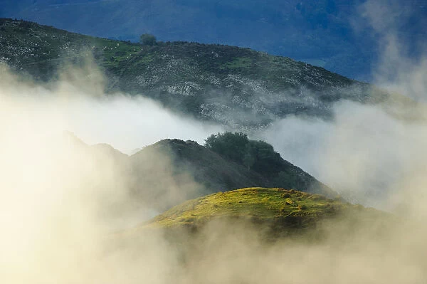 Fog between the mountains. Lagos de Covadonga (Covadonga Lakes) in Picos de Europa National Park