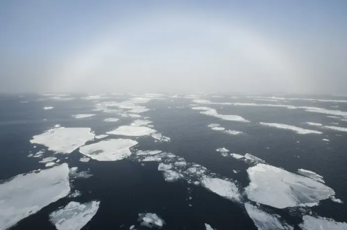 Framed Print : Fogbow over pack ice, Svalbard, Arctic Norway 2010