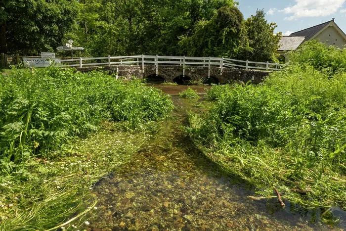 Framed Print : Fool's water-cress (Apium nodiflorum) and Stream water-crowfoot (Ranunculus penicillatus pseudofluitans) growing in chalk stream with River Tarrant packhorse bridge in background