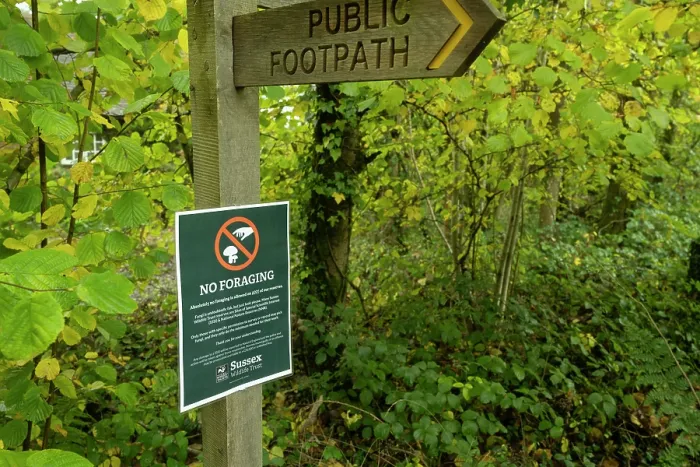 Framed Print : No foraging sign under public footpath signpost, Ebernoe Common Nature Reserve, Sussex, England, UK. November, 2023 Framed Print : No foraging sign under public footpath signpost, Ebernoe Common Nature Reserve, Sussex, England, UK. November, 2023