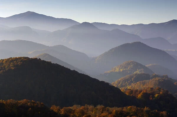 Forest covered hills, Piatra Craiului National Park, Transylvania, Southern Carpathian Mountains
