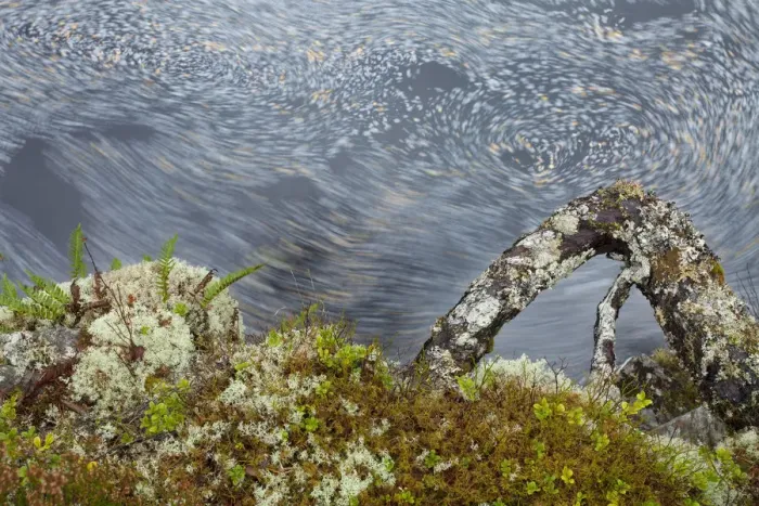 Framed Print : Forest floor and leaves in river, Glen Affric, Highland, Scotland, UK, October Framed Print : Forest floor and leaves in river, Glen Affric, Highland, Scotland, UK, October