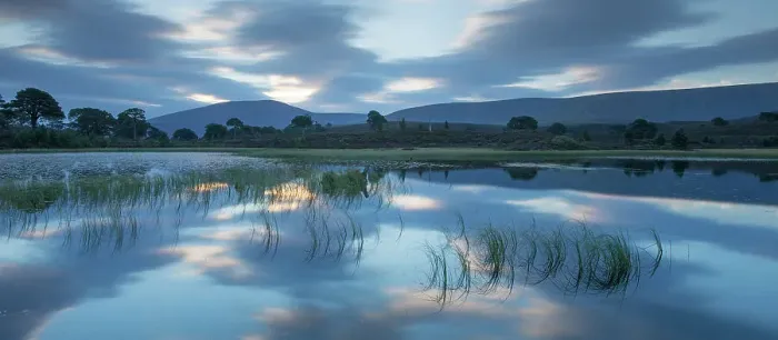 Framed Print : Forest lochan at dawn, Abernethy National Nature Reserve, Cairngorms National Park, Scotland, September 2014 Framed Print : Forest lochan at dawn, Abernethy National Nature Reserve, Cairngorms National Park, Scotland, September 2014