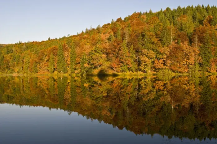 Framed Print : Forest reflected on Proscansko lakes surface, Upper lakes, Plitvice National Park Croatia Framed Print : Forest reflected on Proscansko lakes surface, Upper lakes, Plitvice National Park Croatia