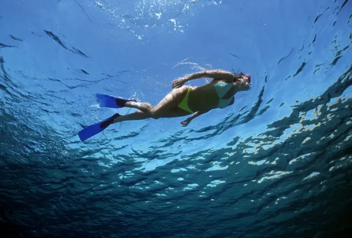 Framed Print : Free diver exploring blue water beside coral reef, Sinai, Egypt, Red Sea Model released Framed Print : Free diver exploring blue water beside coral reef, Sinai, Egypt, Red Sea Model released