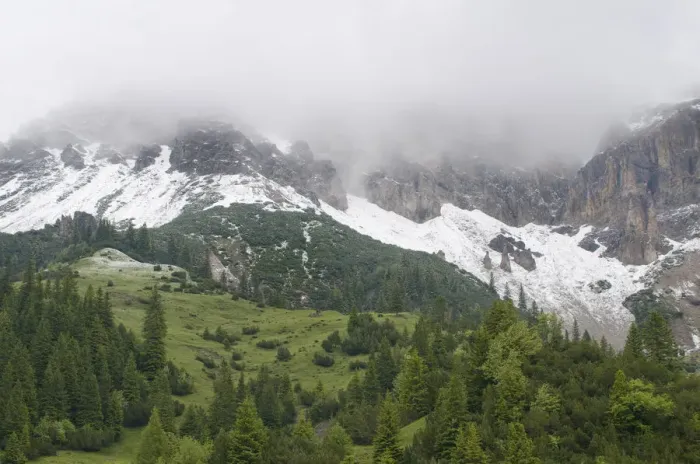 Framed Print : Fresh snow below mountains hidden in clouds with European larch trees (Larix decidua) growing Framed Print : Fresh snow below mountains hidden in clouds with European larch trees (Larix decidua) growing
