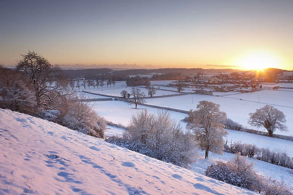 Frost and snow on the trees at sunset. East Hill overlooking Milborne Port, Somerset