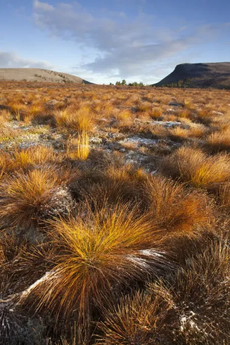Framed Print : Frosty moorland landscape in Autumn, Cairngorms NP, Scotland, UK, October 2010 Framed Print : Frosty moorland landscape in Autumn, Cairngorms NP, Scotland, UK, October 2010