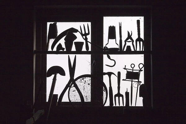 Garden tools silhouetted in potting shed window. September, UK