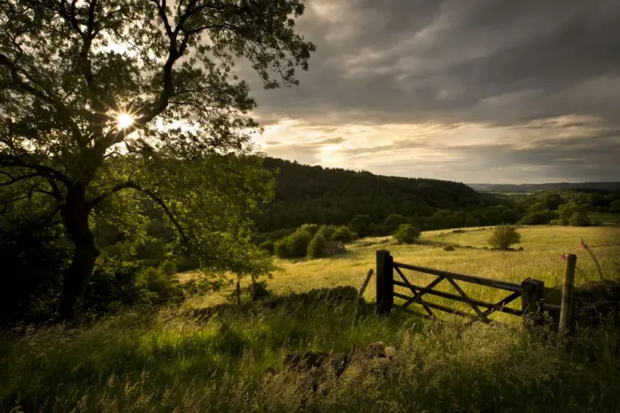 Framed Print : Gate into field of hay meadow in stormy light, Birchover, Peak District National Park Framed Print : Gate into field of hay meadow in stormy light, Birchover, Peak District National Park