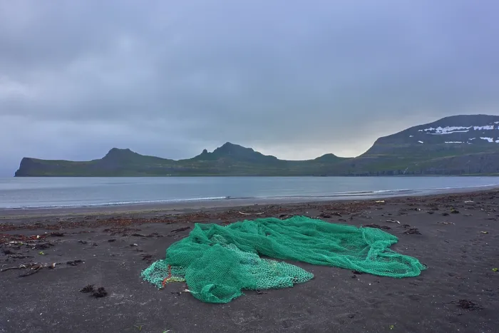 Framed Print : Ghost fishing net washed up on black volcanic sand beach. Hornvik, Hornstrandir Nature Reserve, Iceland. July, 2024 Framed Print : Ghost fishing net washed up on black volcanic sand beach. Hornvik, Hornstrandir Nature Reserve, Iceland. July, 2024