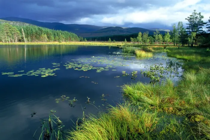 Framed Print : Glen Feshie, Cairngorm NP, Highland, Scotland, UK Framed Print : Glen Feshie, Cairngorm NP, Highland, Scotland, UK