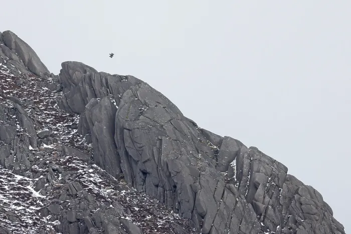 Framed Print : Golden eagle (Aquila chrysaetos) in flight above rocky mountain top, Gleann Einaich, Highlands, Scotland, UK. April Framed Print : Golden eagle (Aquila chrysaetos) in flight above rocky mountain top, Gleann Einaich, Highlands, Scotland, UK. April