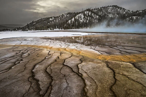 Grand Prismatic Springs on cold winter day with mist  /  vapour, Yellowstone National Park