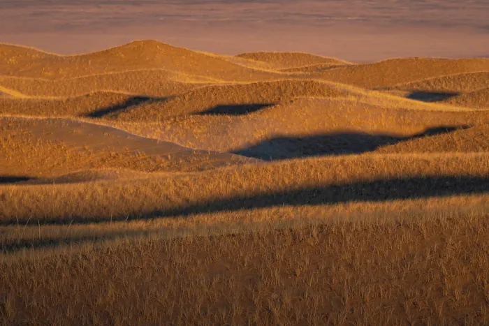 Framed Print : Grass covered sand dunes in the semi desert near the Margaz Mountains, Western Mongolia. November, 2024 Framed Print : Grass covered sand dunes in the semi desert near the Margaz Mountains, Western Mongolia. November, 2024