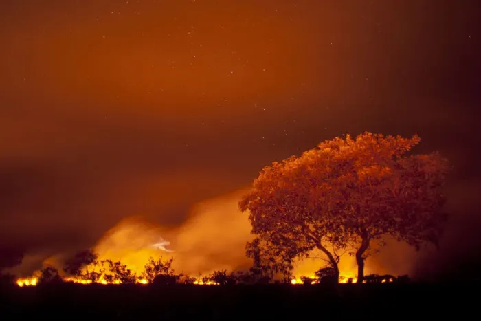 Framed Print : Grass fire at night in Pantanal, Brazil Framed Print : Grass fire at night in Pantanal, Brazil