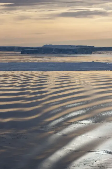 Framed Print : Grease ice forming on the on the waters surface in Weddell Sea, Antarctica Framed Print : Grease ice forming on the on the waters surface in Weddell Sea, Antarctica