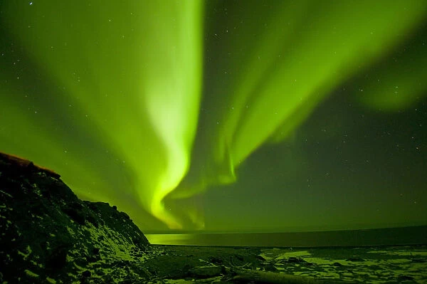 Green Aurora borealis over the Beaufort Sea, seen from the 1002 area of the Arctic
