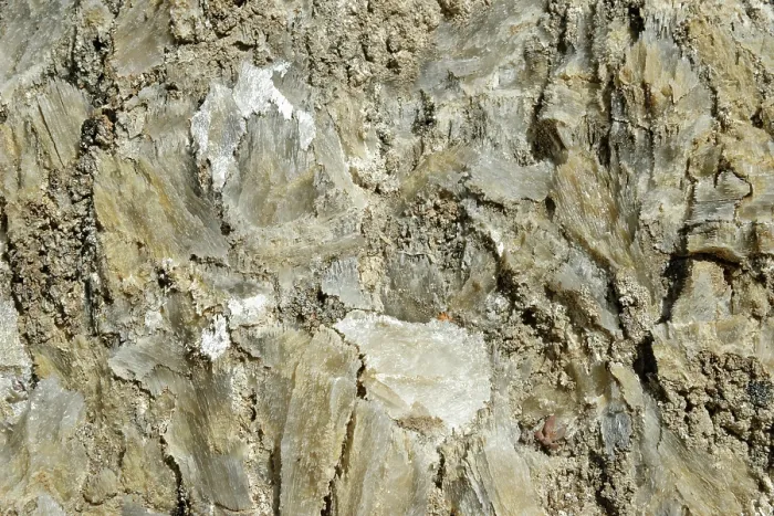 Framed Print : Gypsum / Selenite crystals visible in rock face, Karst en Yesos de Sorbas Natural Area, Almeria, Spain. March, 2024 Framed Print : Gypsum / Selenite crystals visible in rock face, Karst en Yesos de Sorbas Natural Area, Almeria, Spain. March, 2024