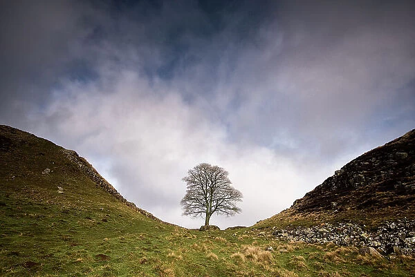 Hadrian's Wall at Sycamore Gap, between Steel Rigg and Housesteads, Northumberland, England, UK, March 2017