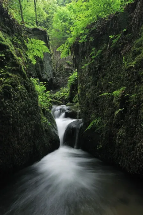 Framed Print : Halerbach / Haupeschbach, a small stream flowing past moss covered rocks in forest Framed Print : Halerbach / Haupeschbach, a small stream flowing past moss covered rocks in forest