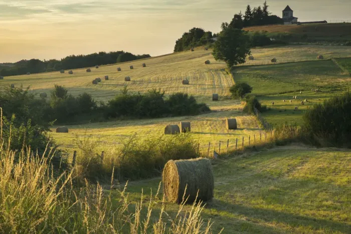 Framed Print : Hay bales in the fields near Beaumont du Perigord, Pays de Bergerac, Dordogne, Aquitaine Framed Print : Hay bales in the fields near Beaumont du Perigord, Pays de Bergerac, Dordogne, Aquitaine