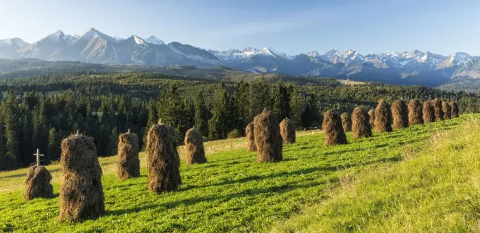 Framed Print : Haystacks in front of the Tatra Mountains, Poland, September 2014 Framed Print : Haystacks in front of the Tatra Mountains, Poland, September 2014