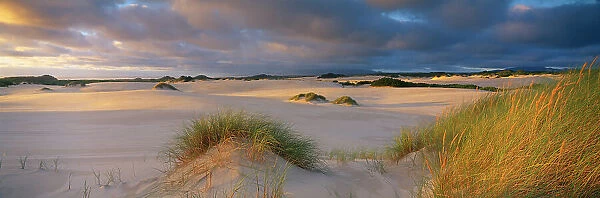 Henty dunes near Strahan, West coast, Tasmania, Australia