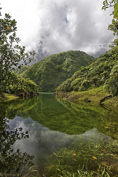 High altitude Boeri Lake in old volcano crater, Morne Trois Pitons National Park