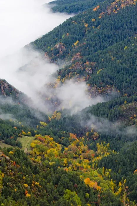 Framed Print : A high view of mist shrouding an autumnal valley. Cadi Natural Park, Catalonia, Barcelona province Framed Print : A high view of mist shrouding an autumnal valley. Cadi Natural Park, Catalonia, Barcelona province