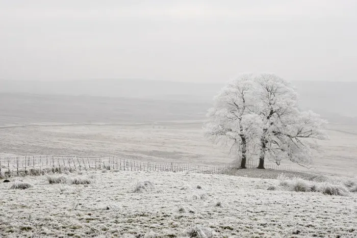 Framed Print : Hoar frost covering landscape, Peak District, UK, New years day 2009 Framed Print : Hoar frost covering landscape, Peak District, UK, New years day 2009