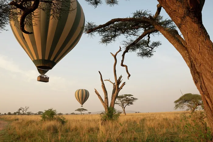 Framed Print : Hot air balloons lifting off at dawn over the savanna, Serengeti National Park, Tanzania. September, 2017 Framed Print : Hot air balloons lifting off at dawn over the savanna, Serengeti National Park, Tanzania. September, 2017