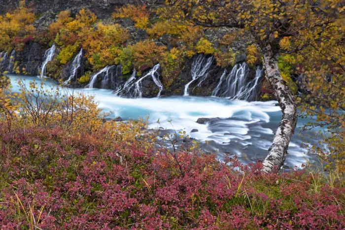 Framed Print : Hraunfossar waterfall, West of Iceland, September 2013 Framed Print : Hraunfossar waterfall, West of Iceland, September 2013
