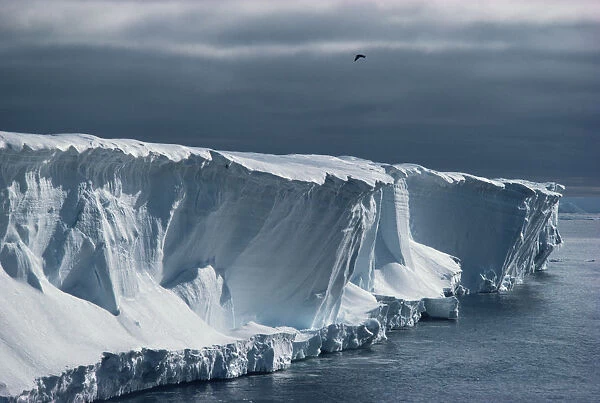 Ice cliffs of the Ross ice shelf, Antarctica