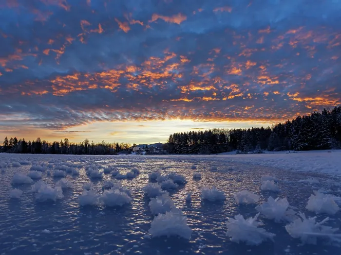 Framed Print : Ice crystals on frozen lake at dawn, Upper Bavaria, Germany. January, 2024 Framed Print : Ice crystals on frozen lake at dawn, Upper Bavaria, Germany. January, 2024