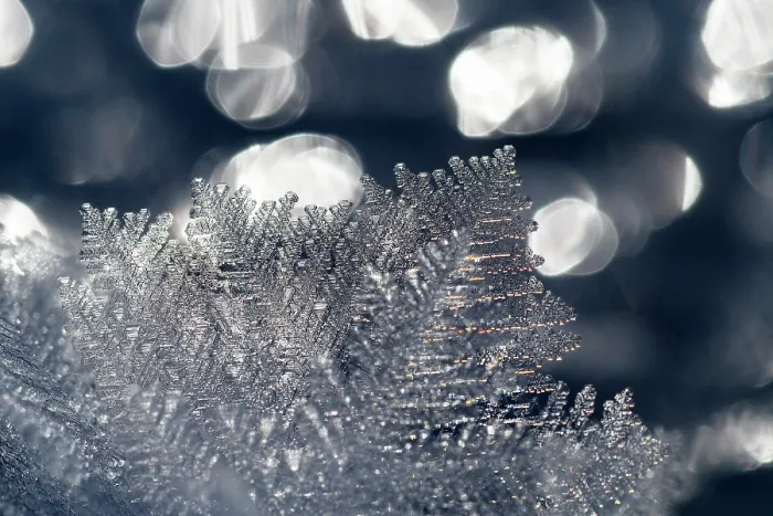 Framed Print : Ice crystals on frozen lake, Upper Bavaria, Germany. January Framed Print : Ice crystals on frozen lake, Upper Bavaria, Germany. January