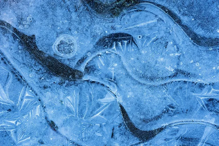 Framed Print : Ice patterns in frozen puddle, Frogham, New Forest, Hampshire, England, UK. November Framed Print : Ice patterns in frozen puddle, Frogham, New Forest, Hampshire, England, UK. November