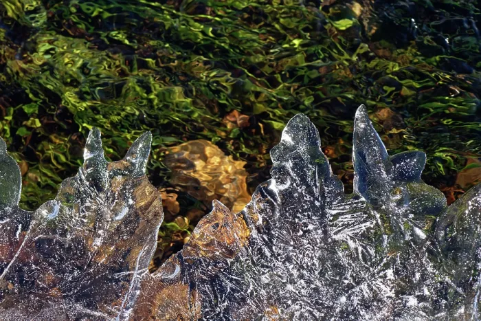 Framed Print : Ice patterns on partially frozen stream across heathland, New Forest, Hampshire, England, UK. January, 2023 Framed Print : Ice patterns on partially frozen stream across heathland, New Forest, Hampshire, England, UK. January, 2023