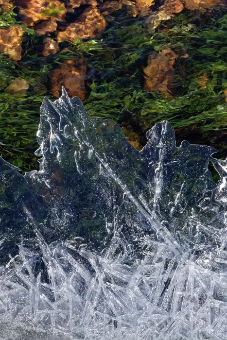 Framed Print : Ice patterns on partially frozen stream across heathland, New Forest, Hampshire, England, UK. January, 2023 Framed Print : Ice patterns on partially frozen stream across heathland, New Forest, Hampshire, England, UK. January, 2023