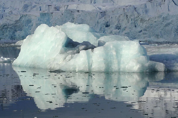 Ice in front of the Smeerenburg glacier, Smeerenburg fjord, Svalbard, Norway, July 2008