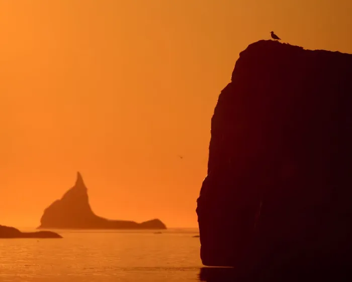 Framed Print : Icebergs silhouetted at sunset, Disko Bay, Greenland, August 2009 Framed Print : Icebergs silhouetted at sunset, Disko Bay, Greenland, August 2009