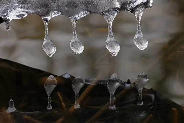 Framed Print : Icicles close up, Maryland, USA. January Framed Print : Icicles close up, Maryland, USA. January