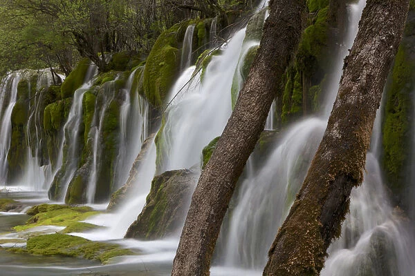 Jian Zhu Pu Bu (Arrow Bamboo Lake Waterfall), Jiuzhaigou National Park, Jiuzhaigou Valley Scenic