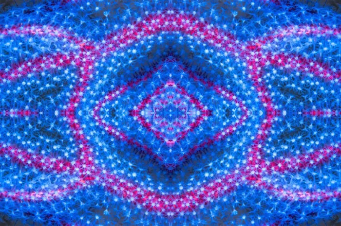 Framed Print : Kaleidoscopic image of polyps on gorgonian coral. West Papua, Indonesia Framed Print : Kaleidoscopic image of polyps on gorgonian coral. West Papua, Indonesia