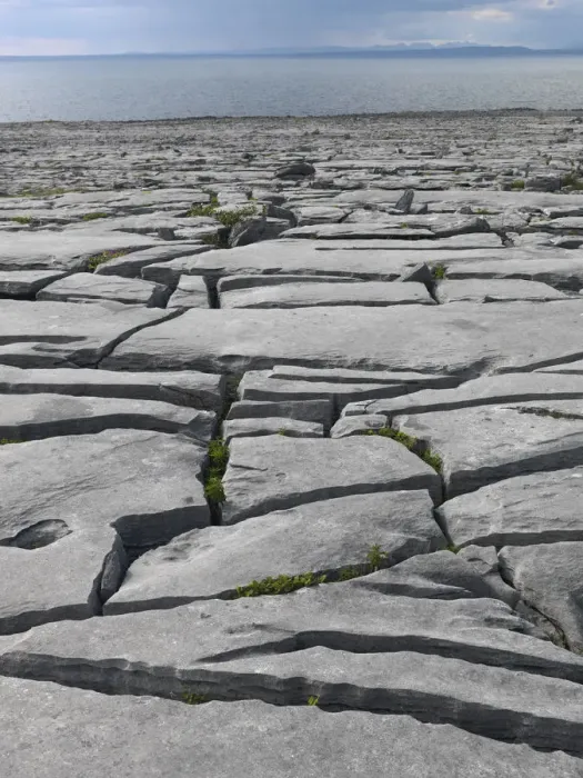 Framed Print : Karst limestone landscape, The Burren, County Clare, Ireland, June 2009 Framed Print : Karst limestone landscape, The Burren, County Clare, Ireland, June 2009