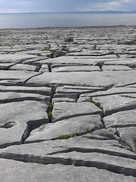 Karst limestone landscape, The Burren, County Clare, Ireland, June 2009