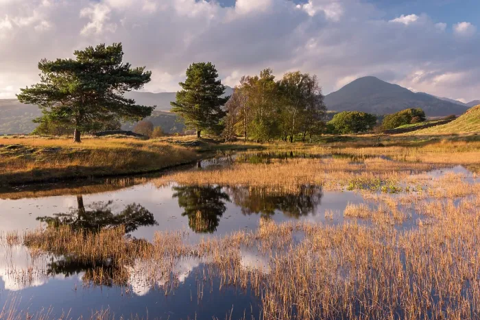 Framed Print : Kelly Hall Tarn, late evening light, The Lake District, Cumbria, UK. October 2016 Framed Print : Kelly Hall Tarn, late evening light, The Lake District, Cumbria, UK. October 2016