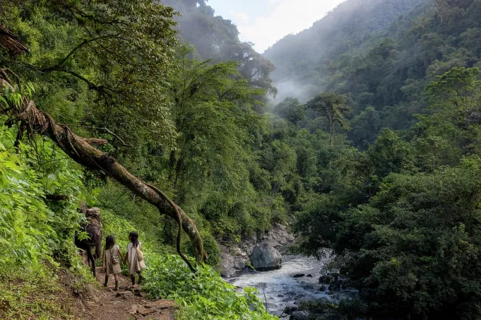 Framed Print : Two Kogui children with a mule walking along riverbank in the Buritaca valley, Sierra Nevada de Santa Marta, Colombia. December, 2021 Framed Print : Two Kogui children with a mule walking along riverbank in the Buritaca valley, Sierra Nevada de Santa Marta, Colombia. December, 2021