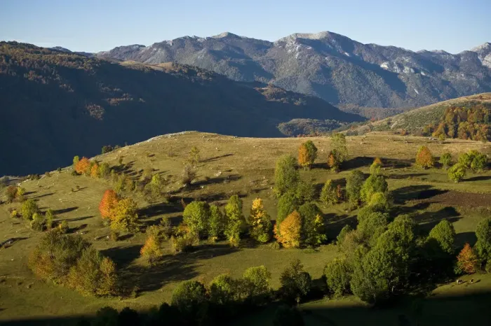 Framed Print : Komarnica Canyon landscape, Durmitor NP, Montenegro, October 2008 Framed Print : Komarnica Canyon landscape, Durmitor NP, Montenegro, October 2008